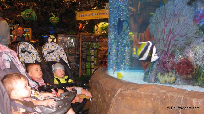 The aquarium was the best attraction.