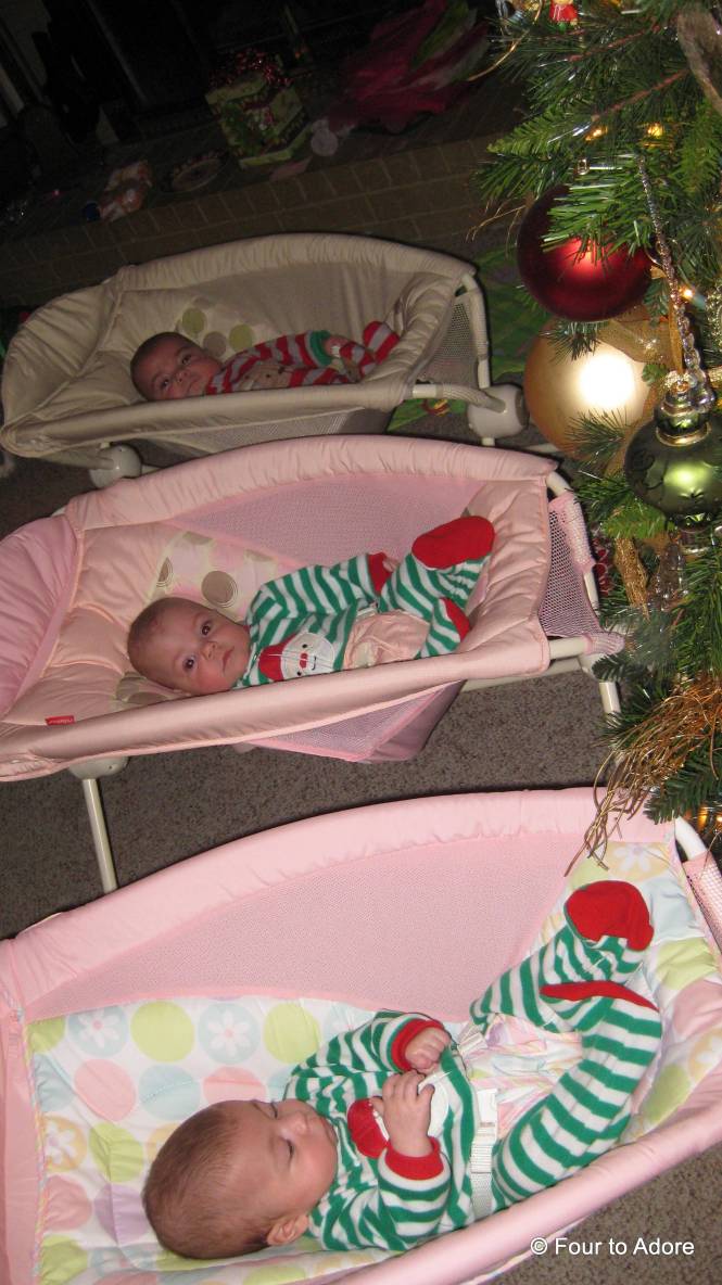 The babies enjoyed looking at a new Christmas tree.