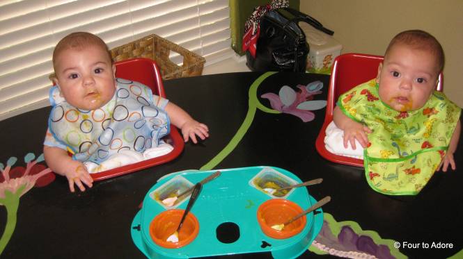 Here is my twin feeding tray.  It does a good job of housing all four bowls, but I don't like that you have to use baby food tubs since we make our own food.