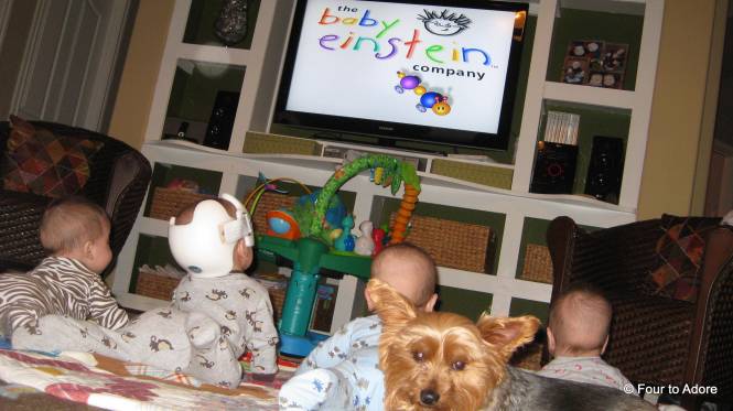 He even enjoyed a Baby Einstein DVD with his sibs.