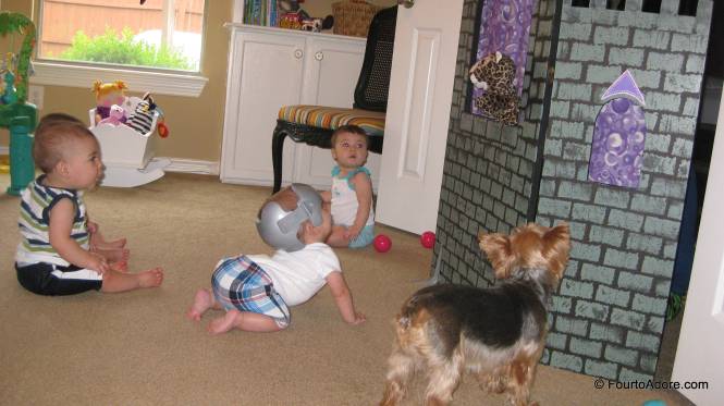 Even Lily was interested.