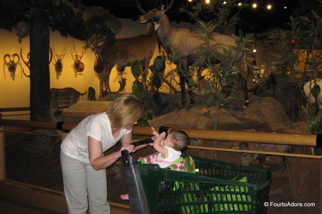 Terri chauffered Rylin in a shopping cart.