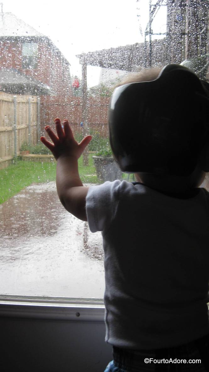 All four babies pressed their noses to the glass, but scattered before I could snap a picture.