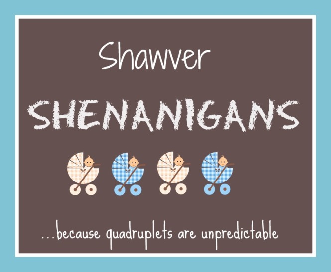 Shawver Shenanigans