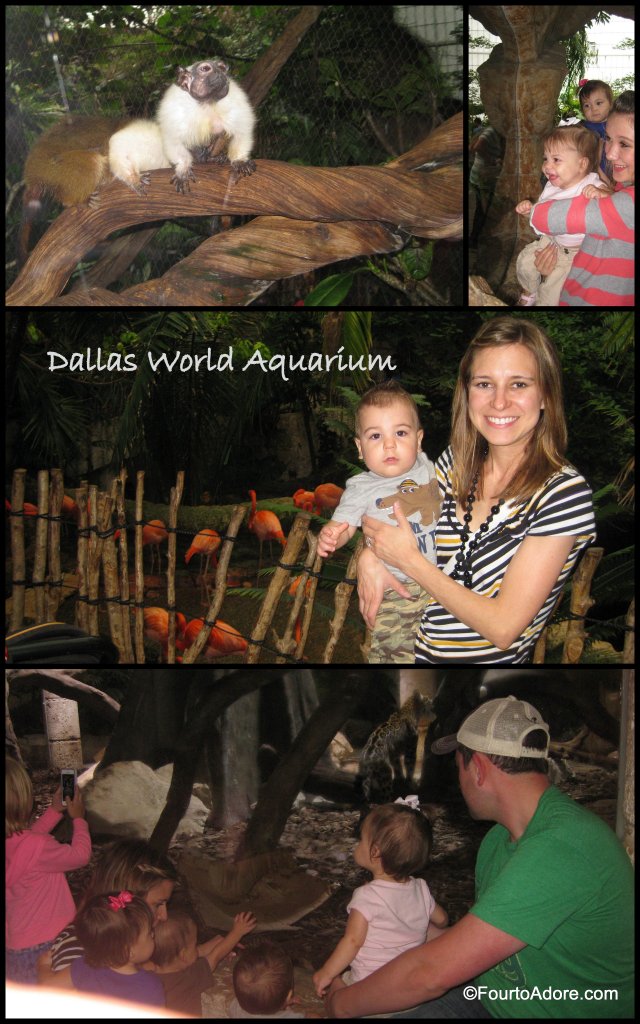 Dallas World Aquarium