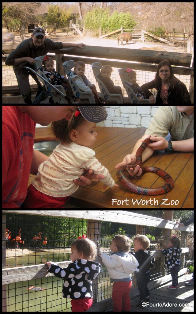 Fort Worth Zoo