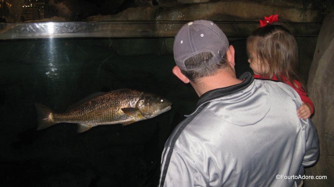 Bass Pro Shop aquarium