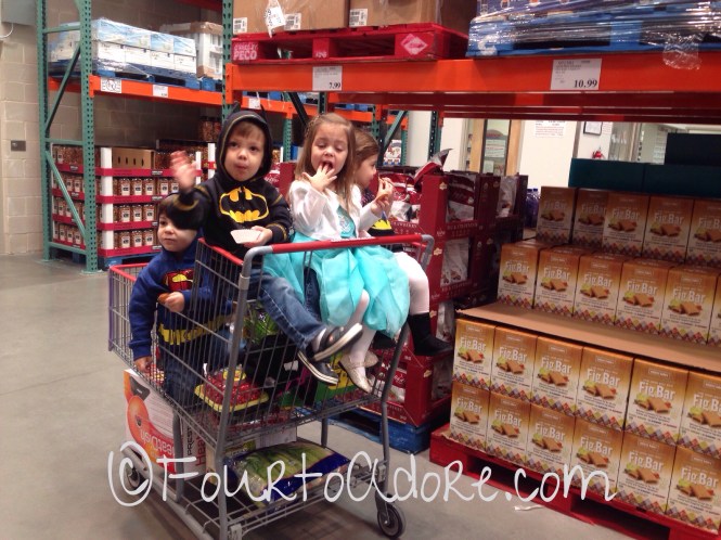 watermarked photo (2015-12-30-1437)