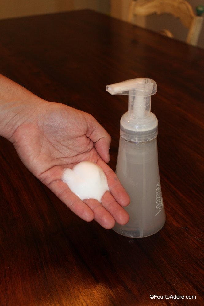 2 ingredient DIY foaming hand soap